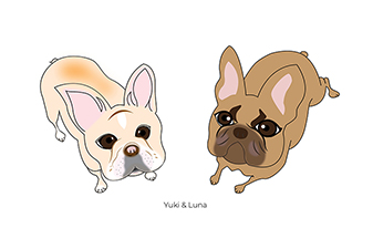 illustration dogs