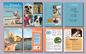 pet magazine